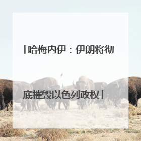 哈梅内伊：伊朗将彻底摧毁以色列政权