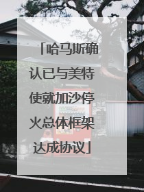 哈马斯确认已与美特使就加沙停火总体框架达成协议