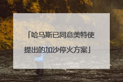 哈马斯已同意美特使提出的加沙停火方案