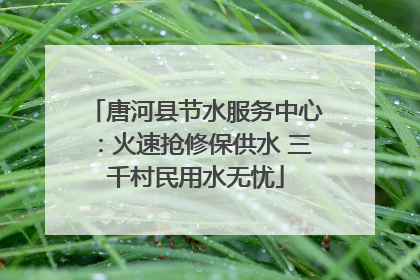 唐河县节水服务中心：火速抢修保供水 三千村民用水无忧