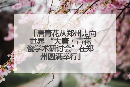 唐青花从郑州走向世界 “大唐・青花瓷学术研讨会”在郑州圆满举行