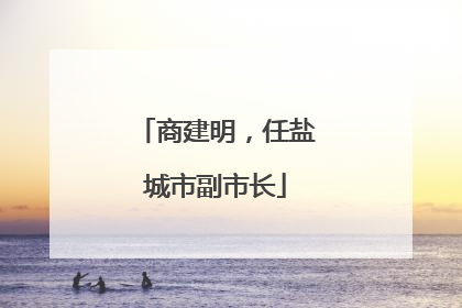 商建明，任盐城市副市长