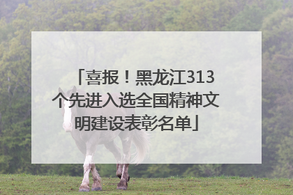 喜报！黑龙江313个先进入选全国精神文明建设表彰名单