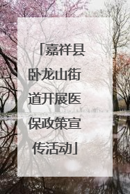嘉祥县卧龙山街道开展医保政策宣传活动