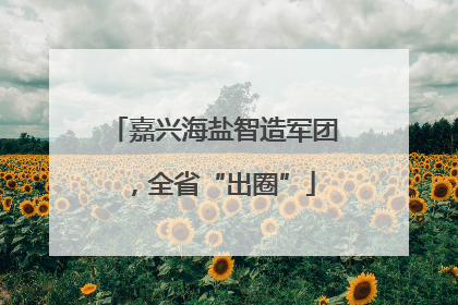 嘉兴海盐智造军团，全省“出圈”