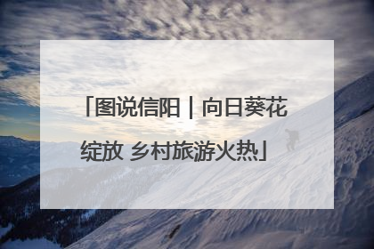 图说信阳｜向日葵花绽放 乡村旅游火热