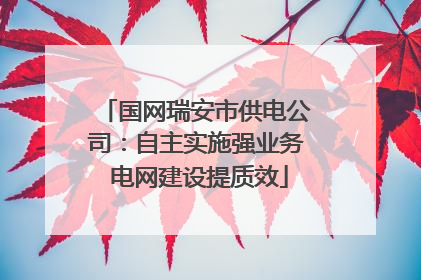 国网瑞安市供电公司：自主实施强业务 电网建设提质效