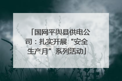 国网平舆县供电公司：扎实开展“安全生产月”系列活动
