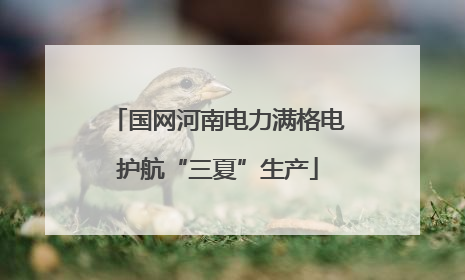 国网河南电力满格电护航“三夏”生产