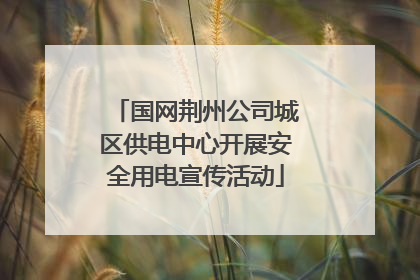 国网荆州公司城区供电中心开展安全用电宣传活动