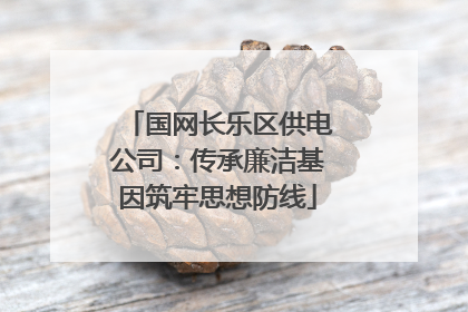 国网长乐区供电公司：传承廉洁基因筑牢思想防线