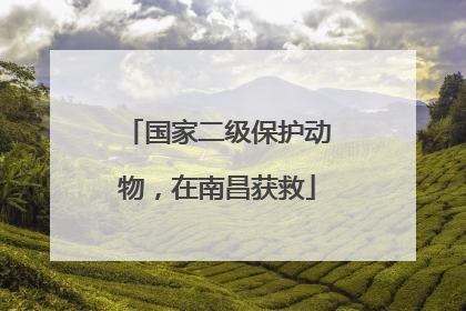 国家二级保护动物，在南昌获救