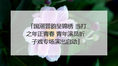 国潮晋韵呈锦绣 当打之年正青春 青年演员折子戏专场演出启动