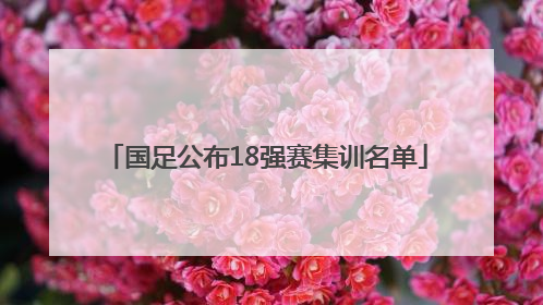 国足公布18强赛集训名单