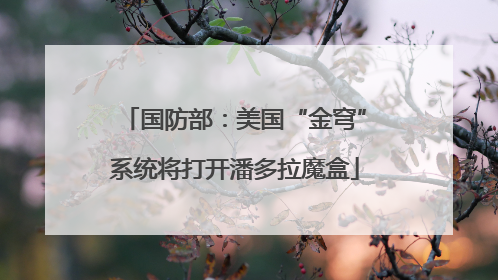 国防部：美国“金穹”系统将打开潘多拉魔盒