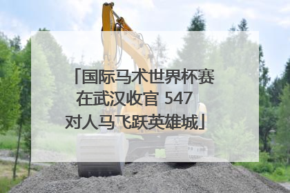 国际马术世界杯赛在武汉收官 547对人马飞跃英雄城