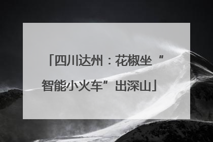 四川达州：花椒坐“智能小火车”出深山