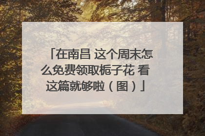 在南昌 这个周末怎么免费领取栀子花 看这篇就够啦（图）