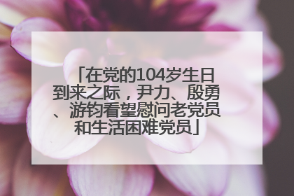 在党的104岁生日到来之际，尹力、殷勇、游钧看望慰问老党员和生活困难党员