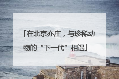 在北京亦庄，与珍稀动物的“下一代”相遇