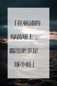 在杨浦的绿茵场上，踢出更多足球小将