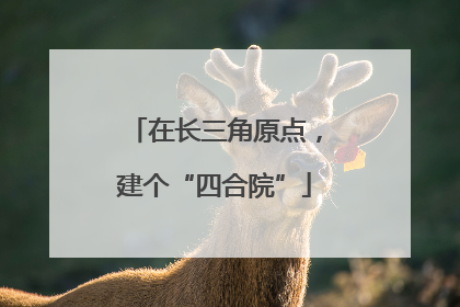 在长三角原点，建个“四合院”
