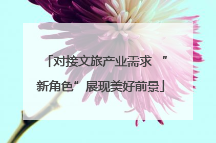 对接文旅产业需求 “新角色”展现美好前景
