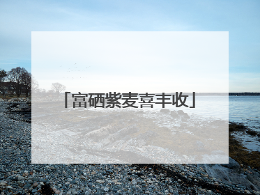 富硒紫麦喜丰收