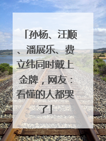 孙杨、汪顺、潘展乐、费立纬同时戴上金牌，网友：看懂的人都哭了