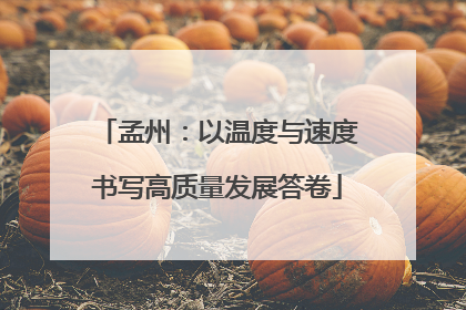孟州：以温度与速度书写高质量发展答卷