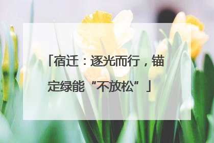 宿迁：逐光而行，锚定绿能“不放松”