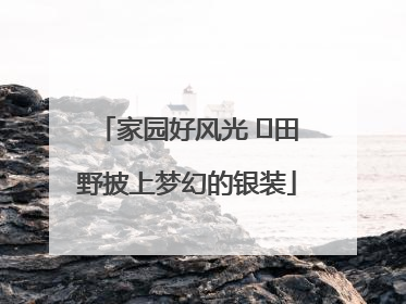 家园好风光 ⎮田野披上梦幻的银装