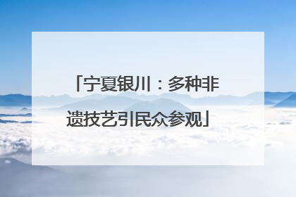 宁夏银川：多种非遗技艺引民众参观