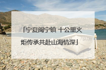 宁夏闽宁镇 十公里火炬传承共赴山海情深