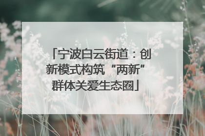 宁波白云街道：创新模式构筑“两新”群体关爱生态圈