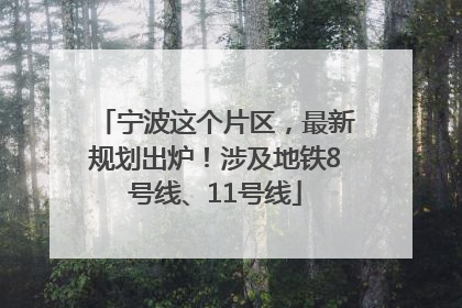 宁波这个片区，最新规划出炉！涉及地铁8号线、11号线