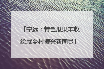 宁远：特色瓜果丰收绘就乡村振兴新图景