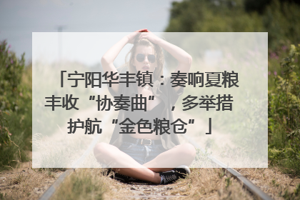 宁阳华丰镇：奏响夏粮丰收“协奏曲”，多举措护航“金色粮仓”