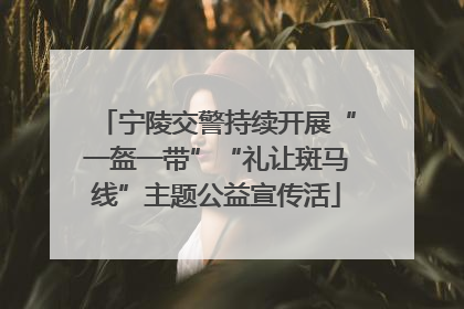 宁陵交警持续开展“一盔一带”“礼让斑马线”主题公益宣传活
