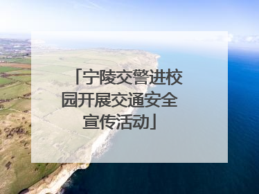 宁陵交警进校园开展交通安全宣传活动