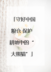 守好中国粮仓 保护耕地中的“大熊猫”