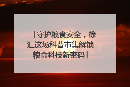 守护粮食安全，徐汇这场科普市集解锁粮食科技新密码