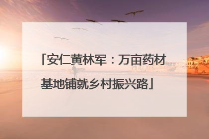 安仁黄林军：万亩药材基地铺就乡村振兴路