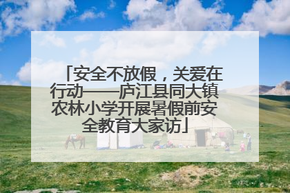 安全不放假，关爱在行动——庐江县同大镇农林小学开展暑假前安全教育大家访