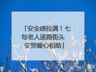 安全感拉满！七旬老人迷路街头 交警暖心相助