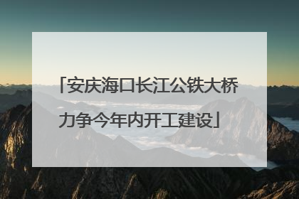 安庆海口长江公铁大桥力争今年内开工建设