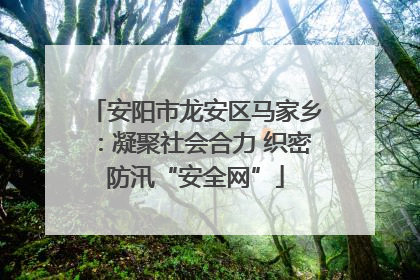 安阳市龙安区马家乡：凝聚社会合力 织密防汛“安全网”