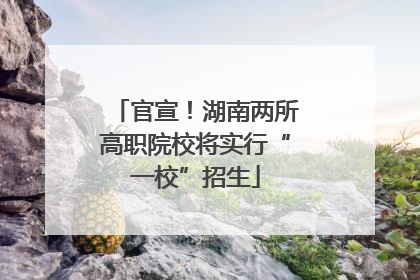 官宣！湖南两所高职院校将实行“一校”招生