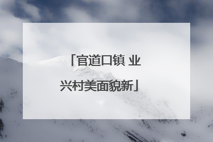 官道口镇 业兴村美面貌新