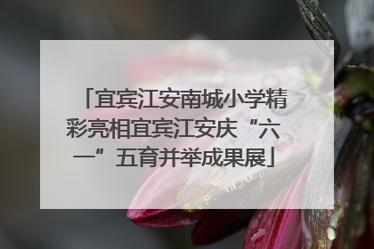 宜宾江安南城小学精彩亮相宜宾江安庆“六一”五育并举成果展